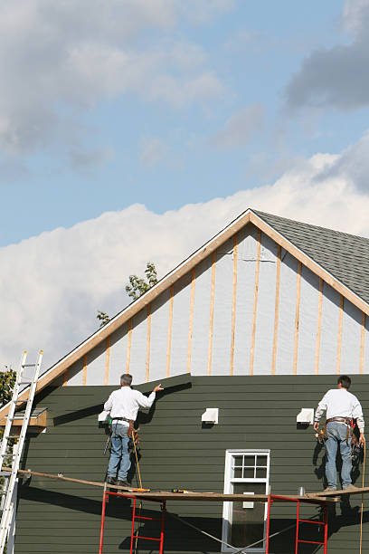 Best Hoarding Cleanup  in St Paul, NE
